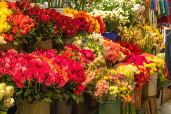 Fresh Flower Care Tips