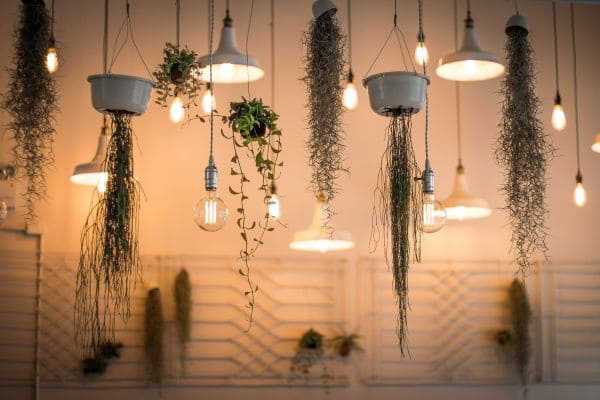 Ceiling Installations